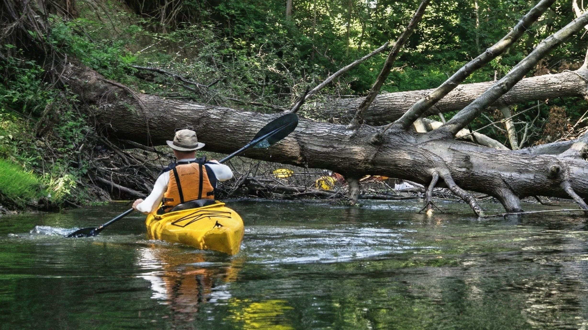 Kayaker navigating a fallen tree in Big Creek
