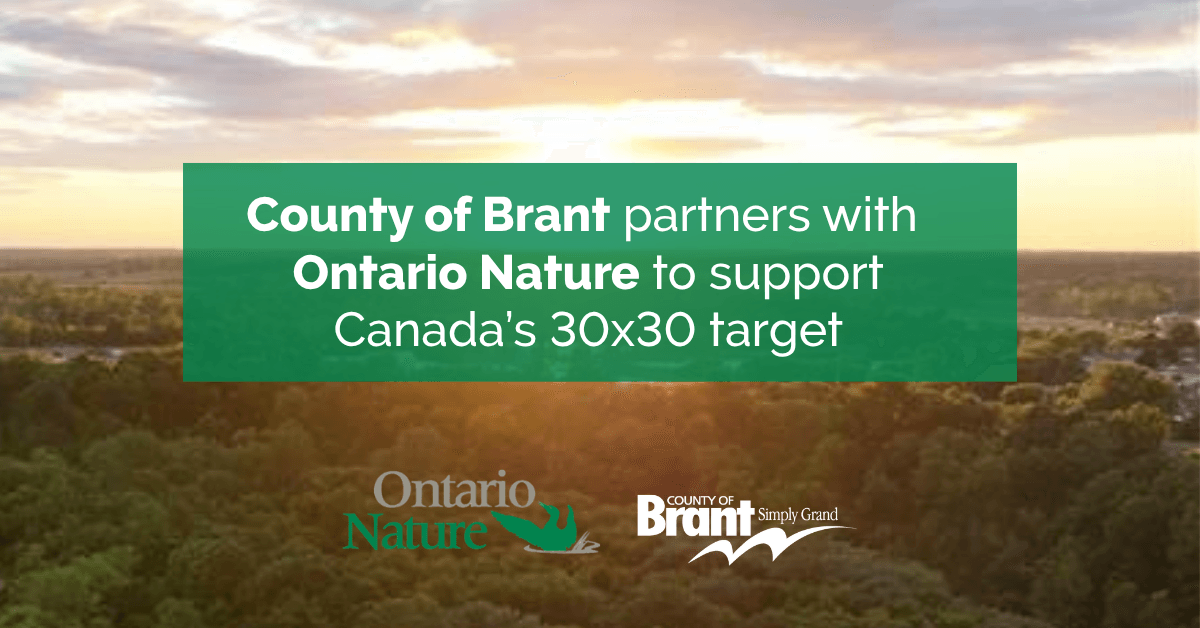 Brant county 30x30 target news