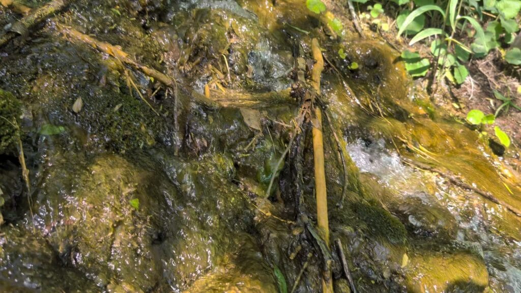 Natural spring flowing over rocks
