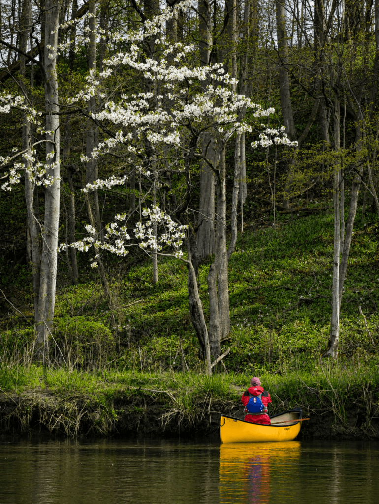 Spring flowers on Big Creek in May of
