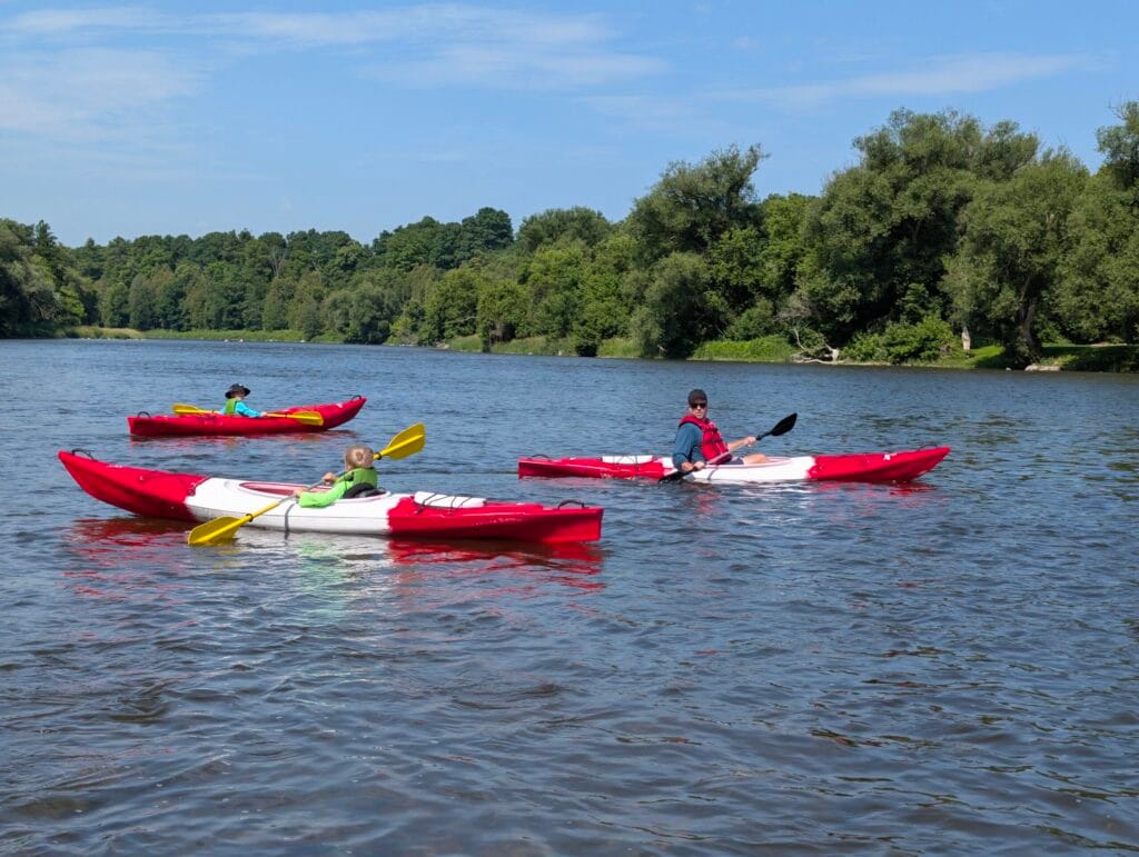 Father and young boys kayaking the grand river in glen morris