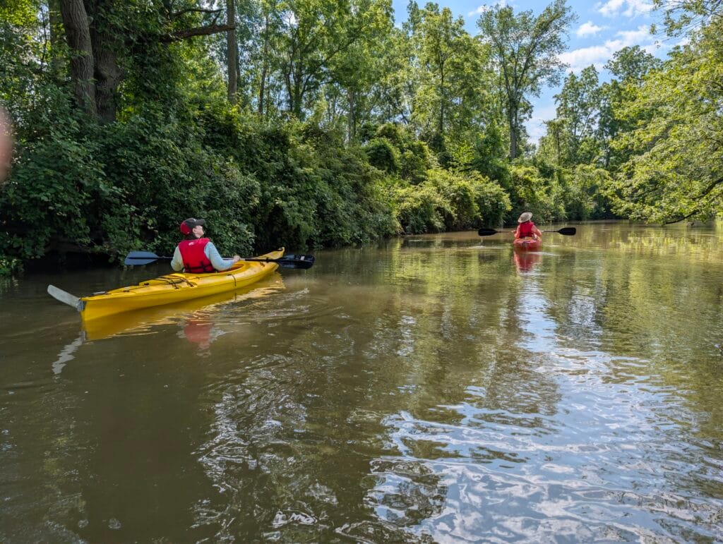 Two kayakers enjoying the sights at Big Creek