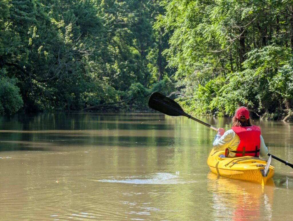 Woman paddling a kayak in Big Creek Long Point Unesco Biosphere