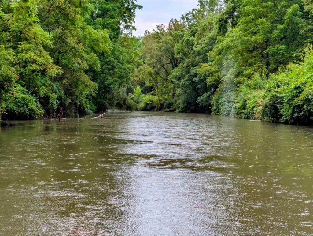 Big Creek in the rain