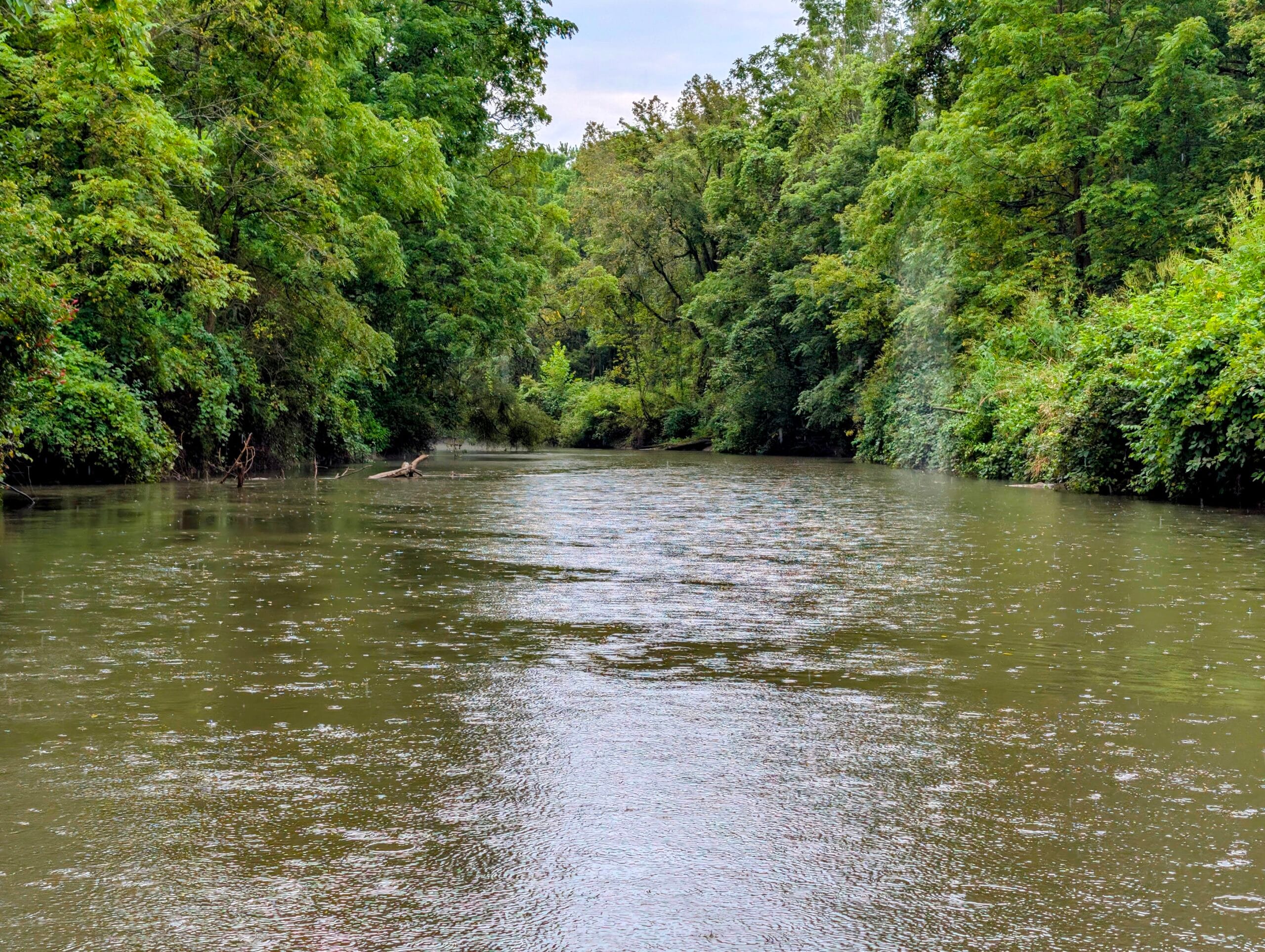 Big Creek in the rain